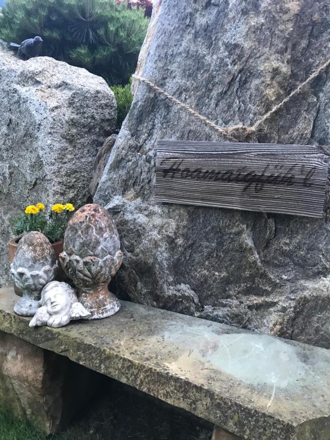 Das Enzian Aschau Im Zillertal المظهر الخارجي الصورة